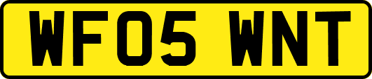 WF05WNT