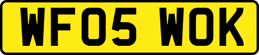 WF05WOK