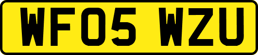 WF05WZU
