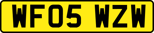WF05WZW