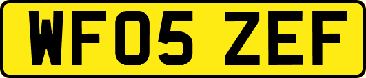 WF05ZEF
