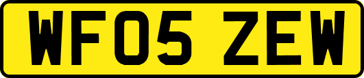 WF05ZEW