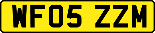 WF05ZZM