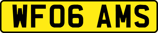 WF06AMS