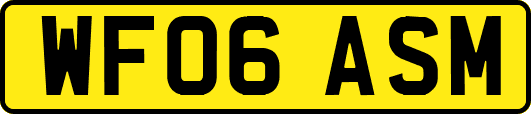 WF06ASM