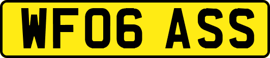 WF06ASS