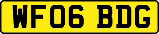 WF06BDG