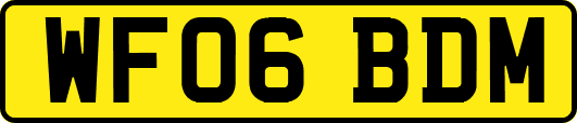 WF06BDM