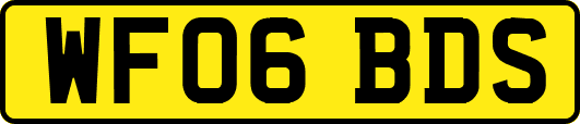 WF06BDS