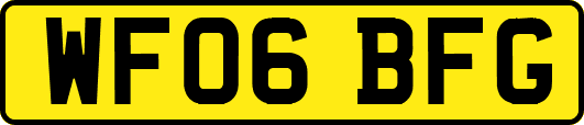 WF06BFG