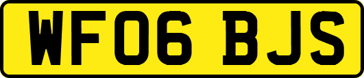 WF06BJS