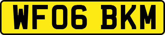 WF06BKM
