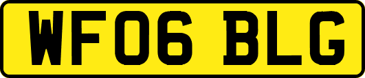 WF06BLG