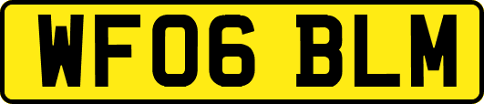 WF06BLM