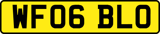 WF06BLO