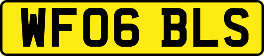 WF06BLS
