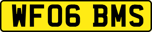 WF06BMS