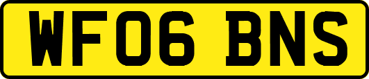 WF06BNS