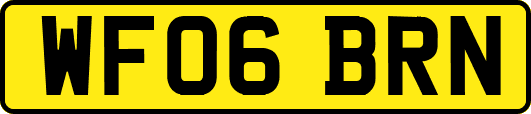 WF06BRN