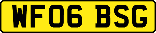 WF06BSG