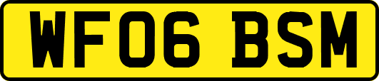 WF06BSM