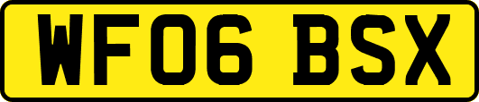 WF06BSX