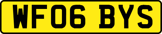 WF06BYS