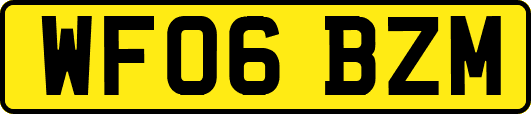 WF06BZM