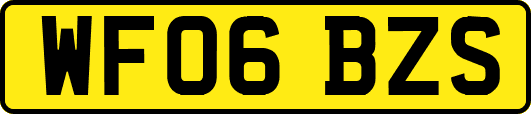 WF06BZS