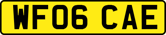 WF06CAE