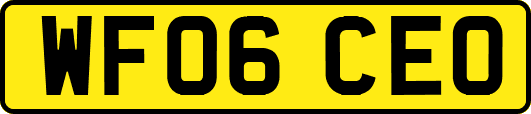 WF06CEO