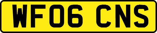 WF06CNS