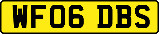 WF06DBS