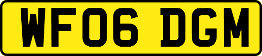 WF06DGM