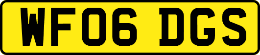 WF06DGS