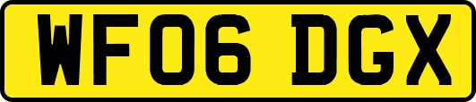 WF06DGX