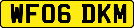 WF06DKM