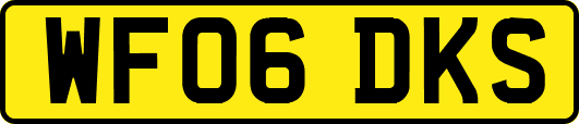 WF06DKS
