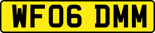 WF06DMM