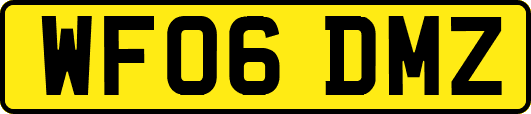 WF06DMZ