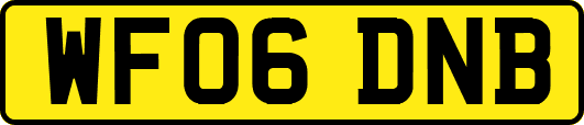 WF06DNB