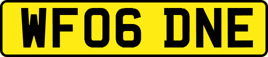 WF06DNE