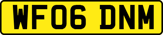 WF06DNM