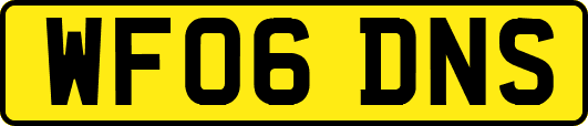 WF06DNS