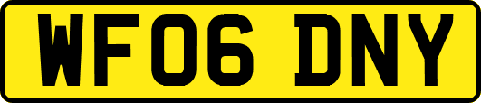 WF06DNY