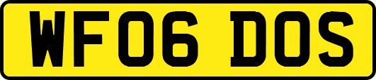 WF06DOS
