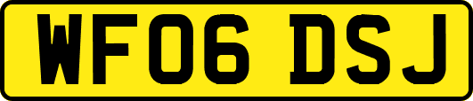 WF06DSJ