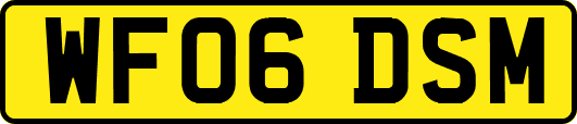 WF06DSM