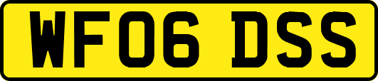 WF06DSS