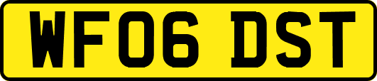 WF06DST